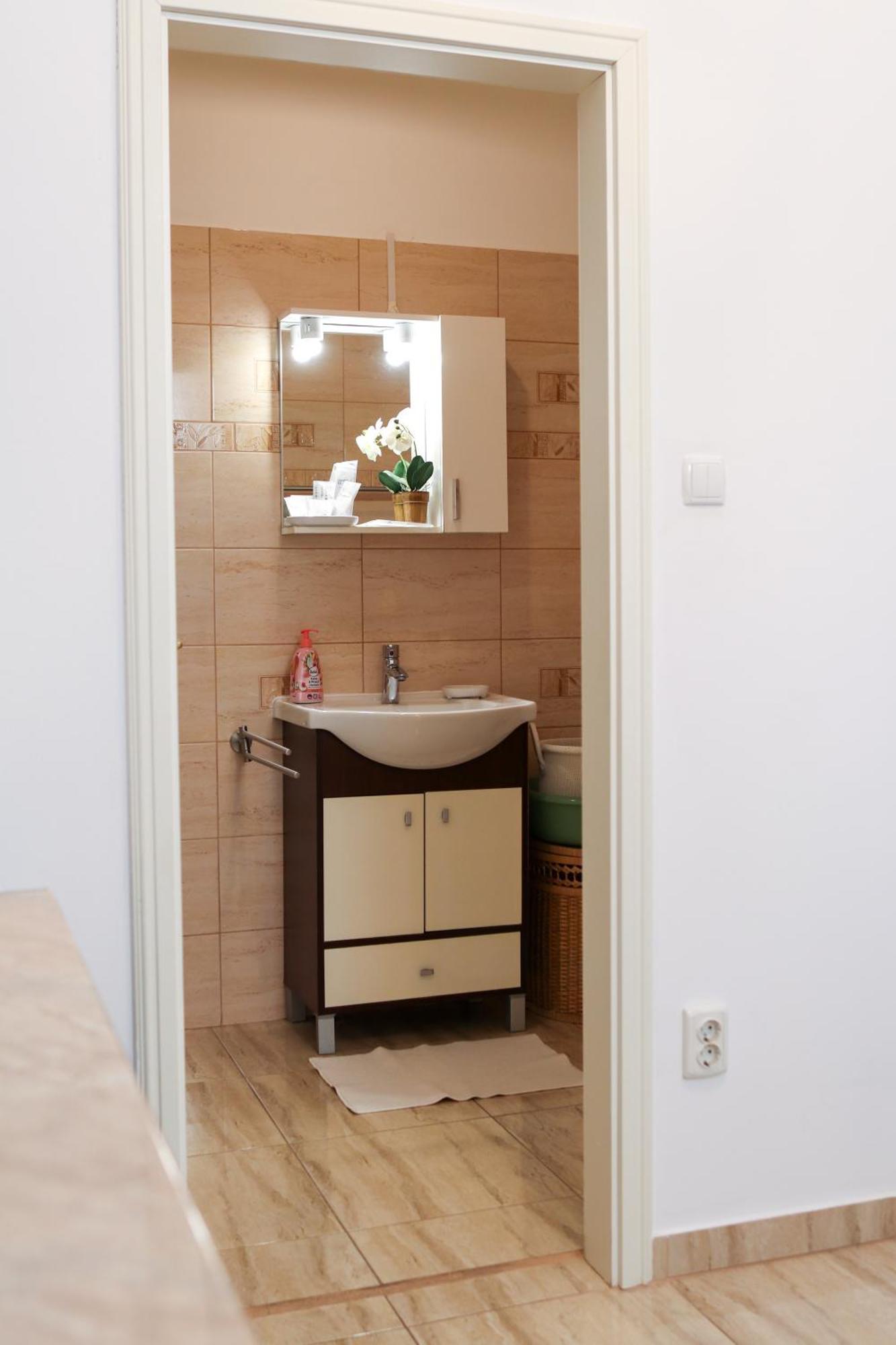 Neuhausz Residenz Ultra-Central Apartment Timişoara Eksteriør bilde