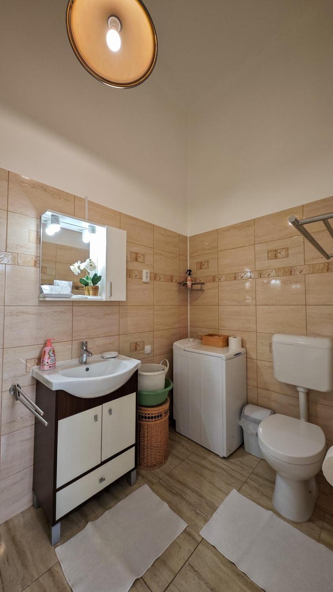 Neuhausz Residenz Ultra-Central Apartment Timişoara Eksteriør bilde