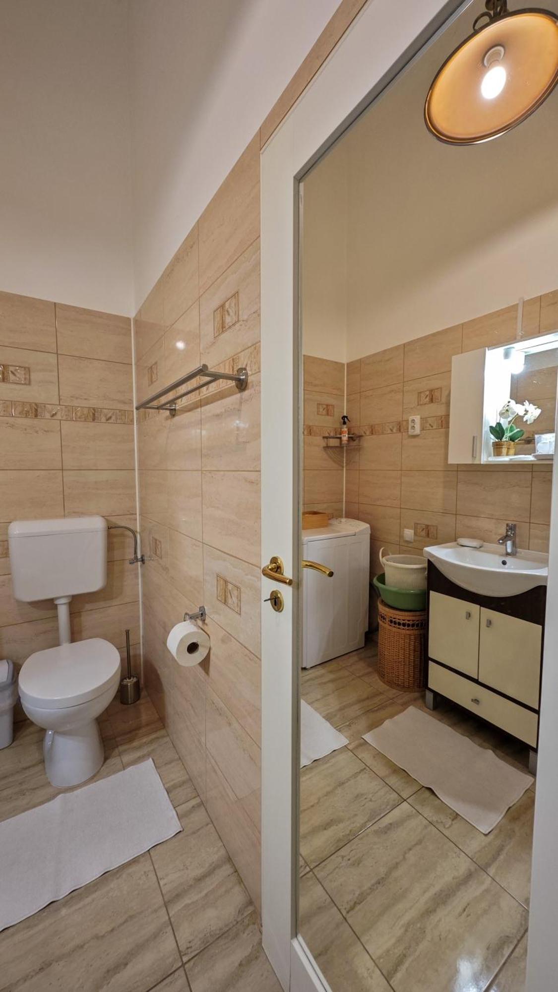 Neuhausz Residenz Ultra-Central Apartment Timişoara Eksteriør bilde